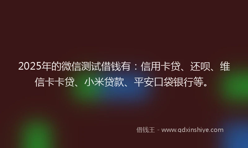 2025年的微信测试借钱有：信用卡贷、还呗、维信卡卡贷、小米贷款、平安口袋银行等。