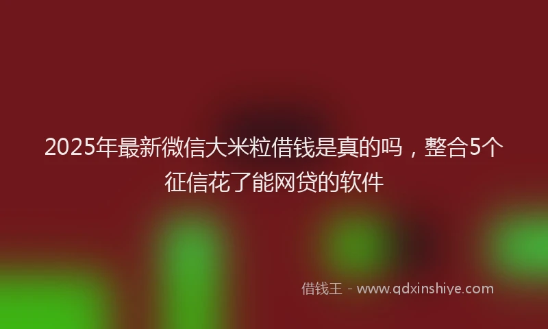 2025年最新微信大米粒借钱是真的吗，整合5个征信花了能网贷的软件