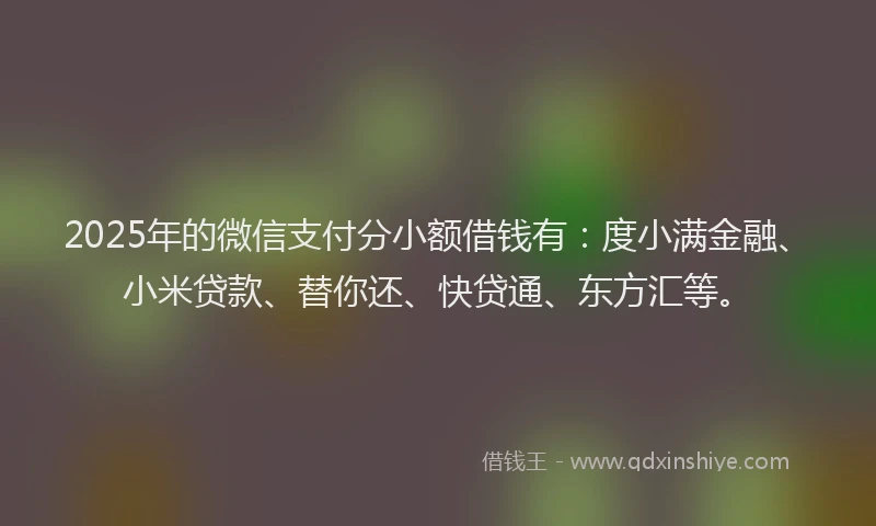2025年的微信支付分小额借钱有：度小满金融、小米贷款、替你还、快贷通、东方汇等。