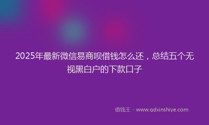 2025年最新微信易商呗借钱怎么还，总结五个无视黑白户的下款口子