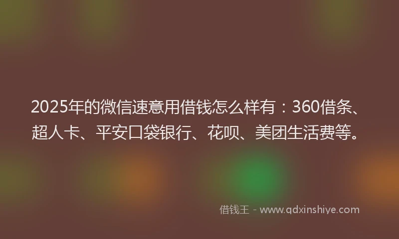 2025年的微信速意用借钱怎么样有：360借条、超人卡、平安口袋银行、花呗、美团生活费等。