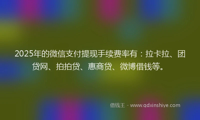 2025年的微信支付提现手续费率有：拉卡拉、团贷网、拍拍贷、惠商贷、微博借钱等。
