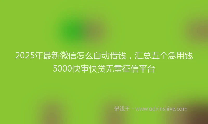2025年最新微信怎么自动借钱，汇总五个急用钱5000快审快贷无需征信平台