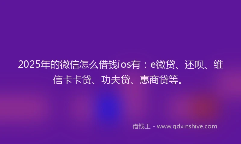 2025年的微信怎么借钱ios有：e微贷、还呗、维信卡卡贷、功夫贷、惠商贷等。