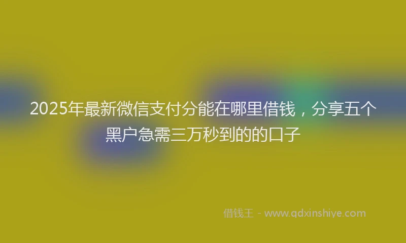 2025年最新微信支付分能在哪里借钱，分享五个黑户急需三万秒到的的口子