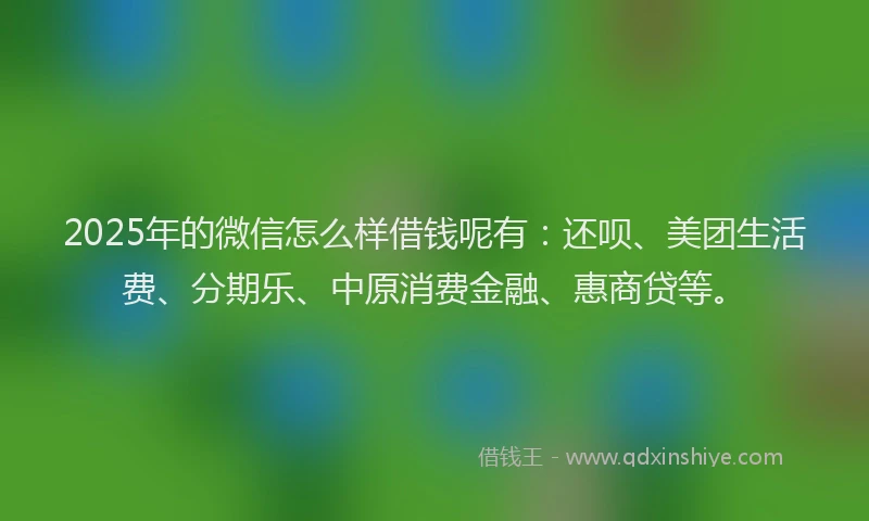 2025年的微信怎么样借钱呢有：还呗、美团生活费、分期乐、中原消费金融、惠商贷等。