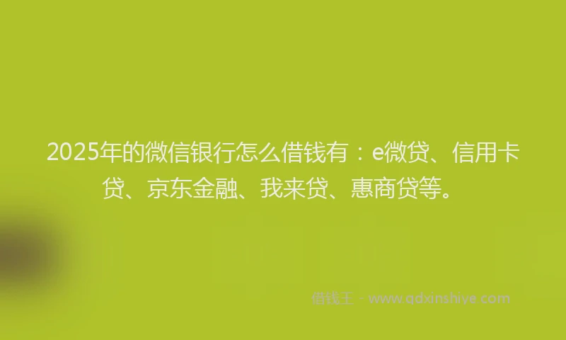 2025年的微信银行怎么借钱有：e微贷、信用卡贷、京东金融、我来贷、惠商贷等。
