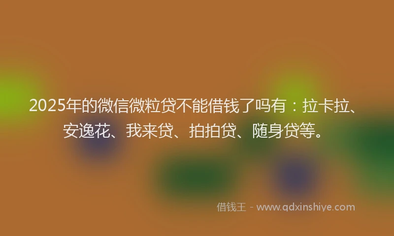 2025年的微信微粒贷不能借钱了吗有：拉卡拉、安逸花、我来贷、拍拍贷、随身贷等。