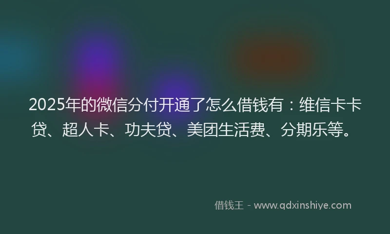 2025年的微信分付开通了怎么借钱有：维信卡卡贷、超人卡、功夫贷、美团生活费、分期乐等。