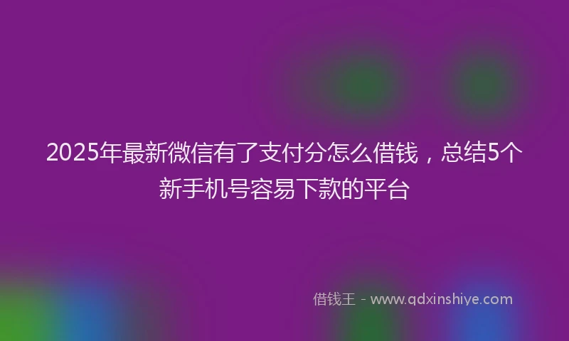 2025年最新微信有了支付分怎么借钱，总结5个新手机号容易下款的平台