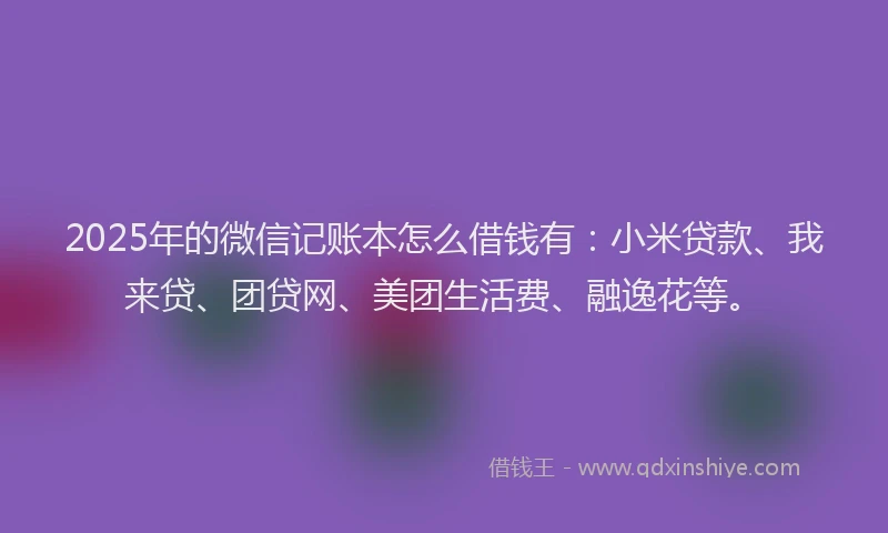 2025年的微信记账本怎么借钱有：小米贷款、我来贷、团贷网、美团生活费、融逸花等。