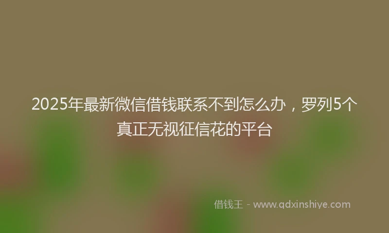 2025年最新微信借钱联系不到怎么办，罗列5个真正无视征信花的平台