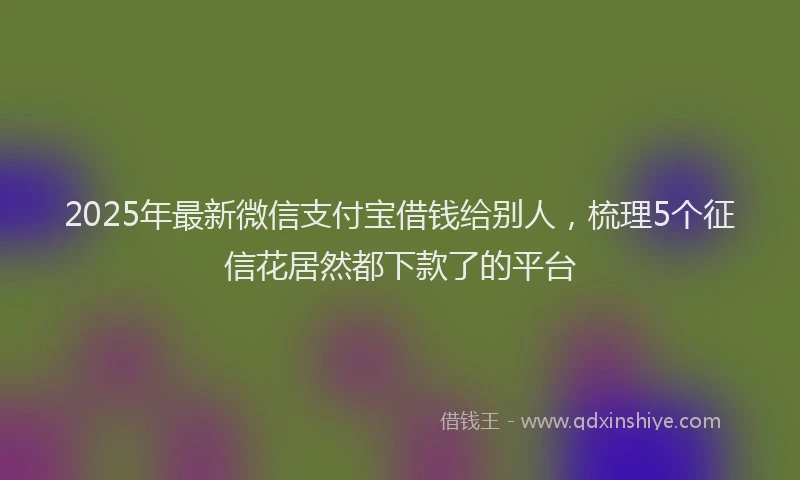 2025年最新微信支付宝借钱给别人，梳理5个征信花居然都下款了的平台