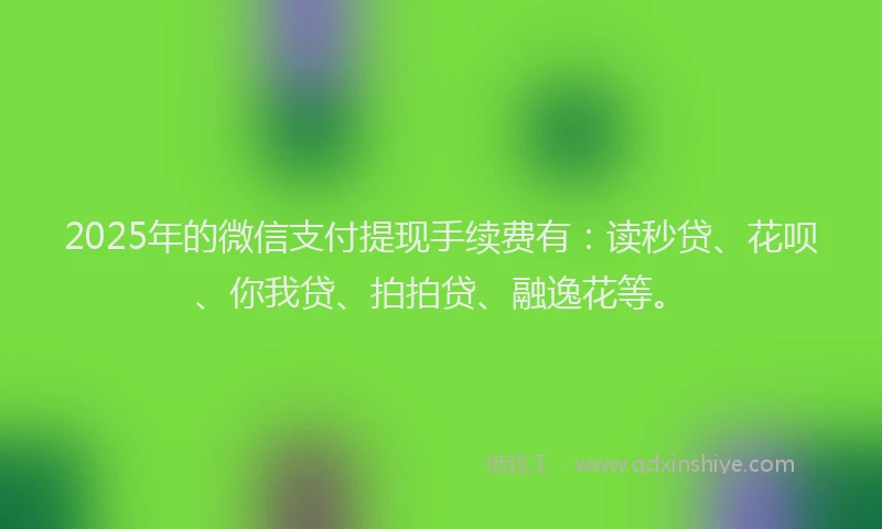 2025年的微信支付提现手续费有：读秒贷、花呗、你我贷、拍拍贷、融逸花等。