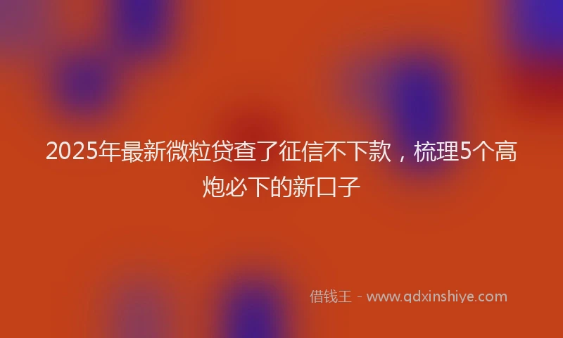 2025年最新微粒贷查了征信不下款，梳理5个高炮必下的新口子