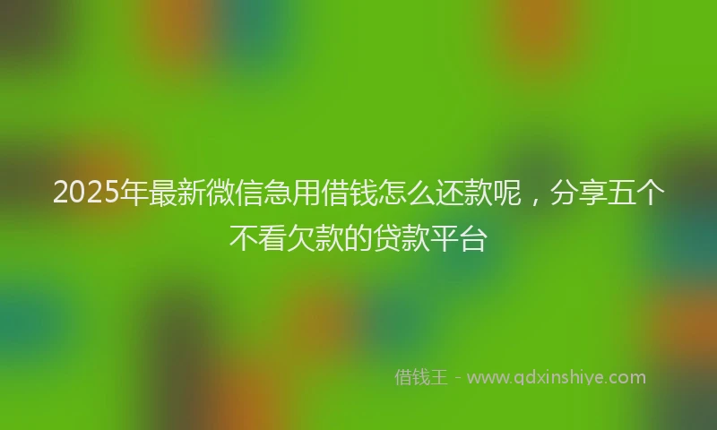 2025年最新微信急用借钱怎么还款呢，分享五个不看欠款的贷款平台