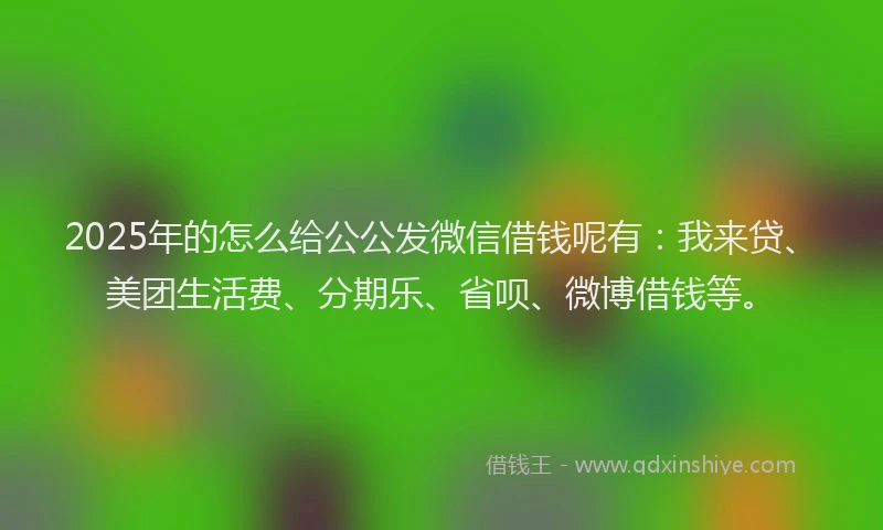 2025年的怎么给公公发微信借钱呢有：我来贷、美团生活费、分期乐、省呗、微博借钱等。