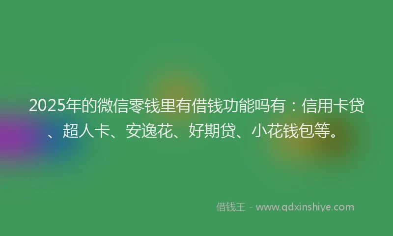2025年的微信零钱里有借钱功能吗有：信用卡贷、超人卡、安逸花、好期贷、小花钱包等。