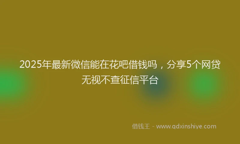 2025年最新微信能在花吧借钱吗，分享5个网贷无视不查征信平台