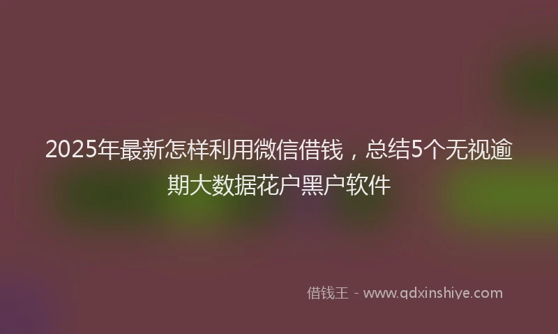 2025年最新怎样利用微信借钱，总结5个无视逾期大数据花户黑户软件