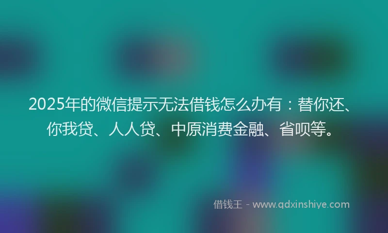 2025年的微信提示无法借钱怎么办有：替你还、你我贷、人人贷、中原消费金融、省呗等。