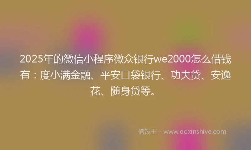 2025年的微信小程序微众银行we2000怎么借钱有：度小满金融、平安口袋银行、功夫贷、安逸花、随身贷等。