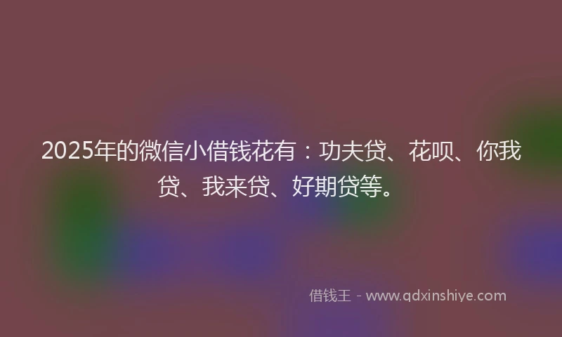 2025年的微信小借钱花有：功夫贷、花呗、你我贷、我来贷、好期贷等。