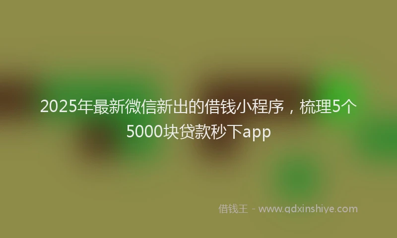 2025年最新微信新出的借钱小程序，梳理5个5000块贷款秒下app