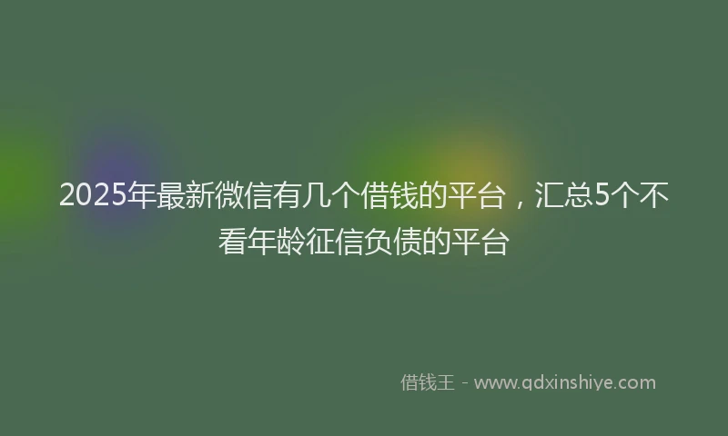 2025年最新微信有几个借钱的平台，汇总5个不看年龄征信负债的平台