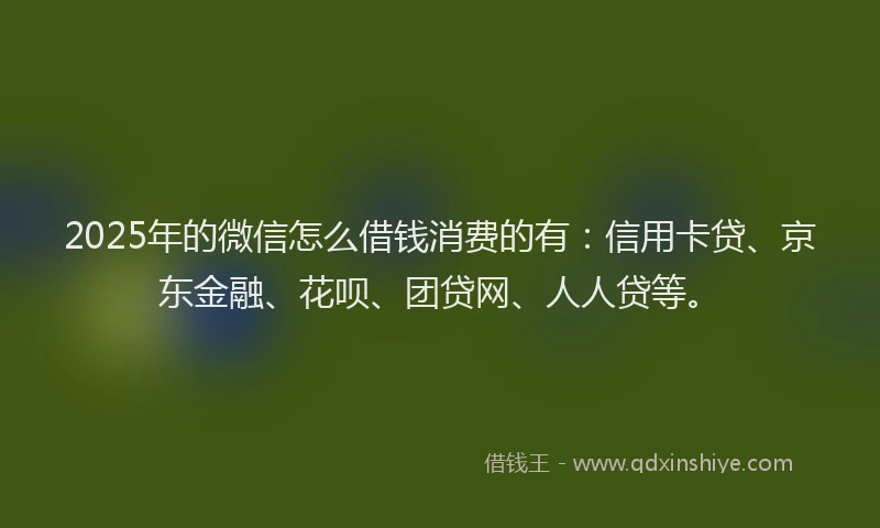 2025年的微信怎么借钱消费的有：信用卡贷、京东金融、花呗、团贷网、人人贷等。