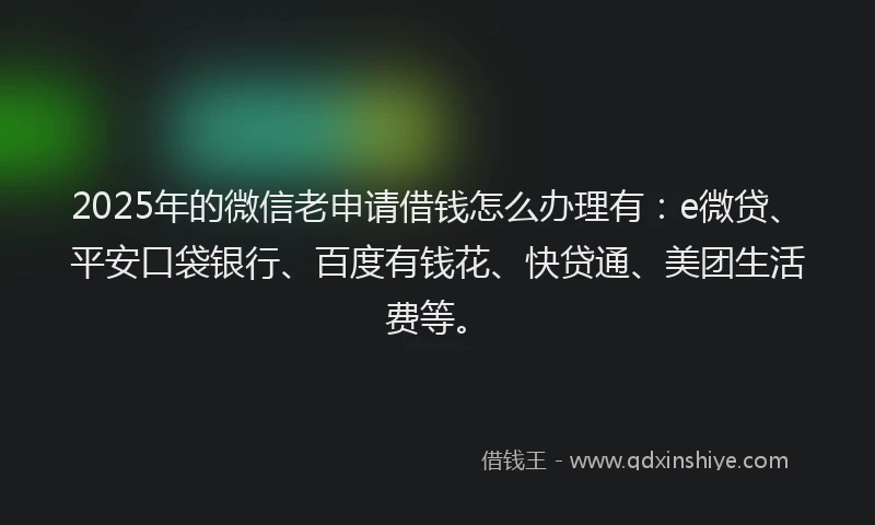 2025年的微信老申请借钱怎么办理有：e微贷、平安口袋银行、百度有钱花、快贷通、美团生活费等。