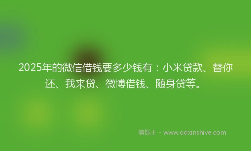 2025年的微信借钱要多少钱有：小米贷款、替你还、我来贷、微博借钱、随身贷等。