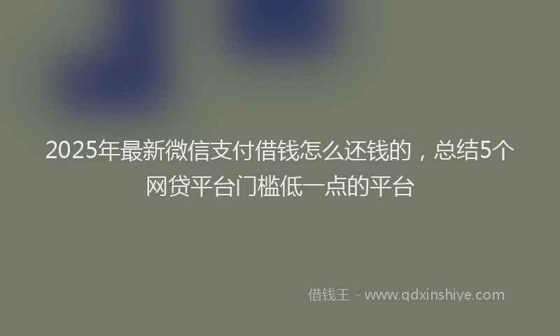 2025年最新微信支付借钱怎么还钱的，总结5个网贷平台门槛低一点的平台