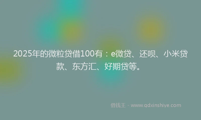 2025年的微粒贷借100有：e微贷、还呗、小米贷款、东方汇、好期贷等。