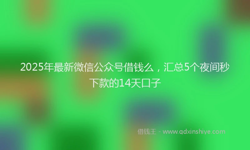 2025年最新微信公众号借钱么，汇总5个夜间秒下款的14天口子