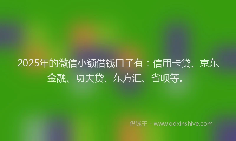 2025年的微信小额借钱口子有：信用卡贷、京东金融、功夫贷、东方汇、省呗等。