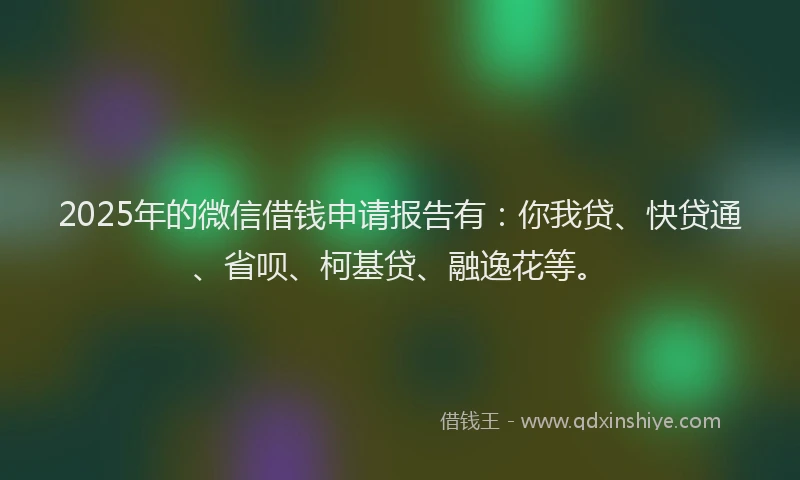 2025年的微信借钱申请报告有：你我贷、快贷通、省呗、柯基贷、融逸花等。