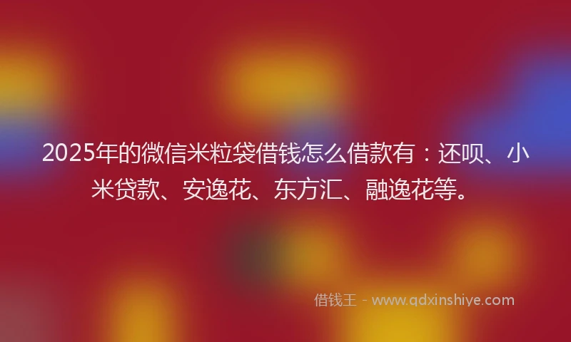 2025年的微信米粒袋借钱怎么借款有：还呗、小米贷款、安逸花、东方汇、融逸花等。