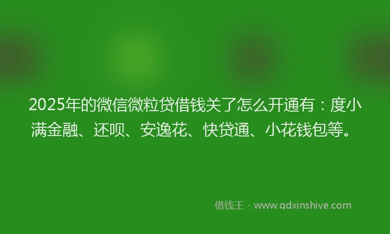 2025年的微信微粒贷借钱关了怎么开通有：度小满金融、还呗、安逸花、快贷通、小花钱包等。