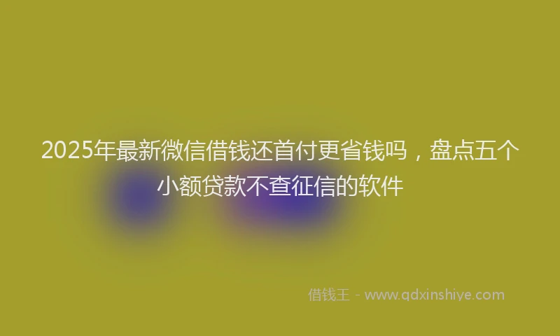 2025年最新微信借钱还首付更省钱吗，盘点五个小额贷款不查征信的软件