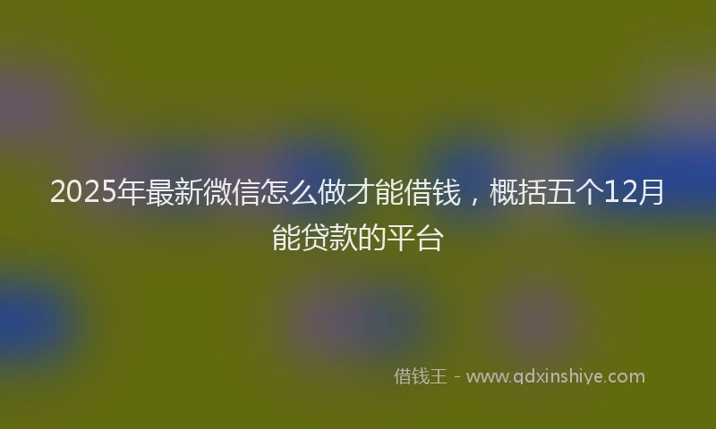 2025年最新微信怎么做才能借钱，概括五个12月能贷款的平台