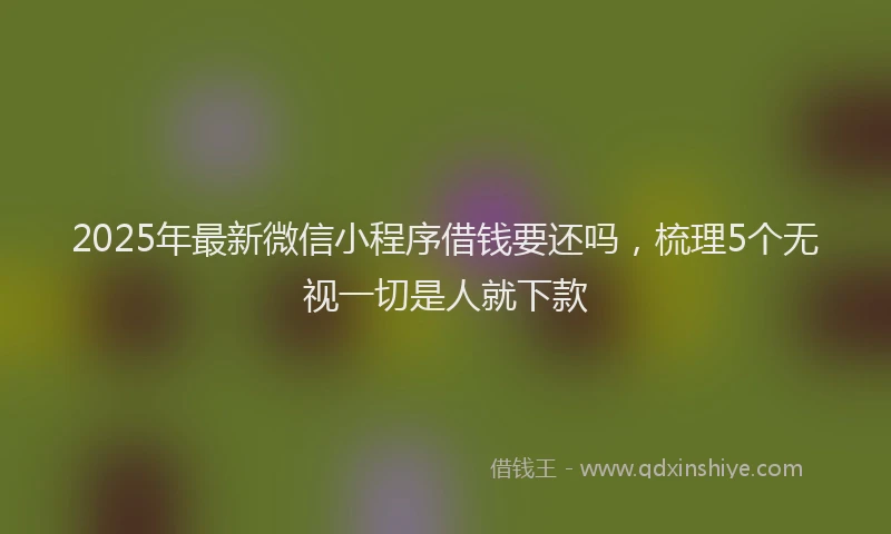 2025年最新微信小程序借钱要还吗，梳理5个无视一切是人就下款