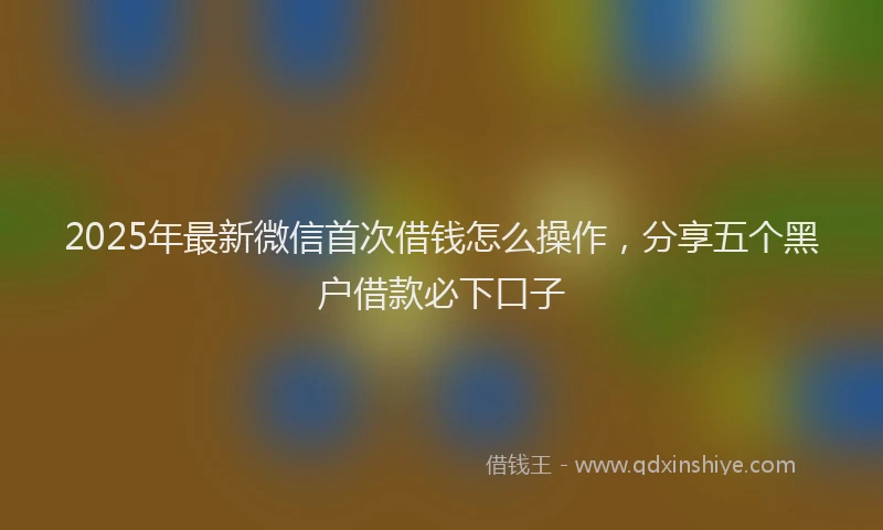 2025年最新微信首次借钱怎么操作，分享五个黑户借款必下口子