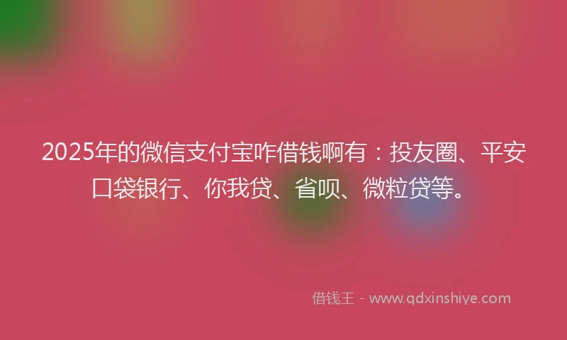 2025年的微信支付宝咋借钱啊有：投友圈、平安口袋银行、你我贷、省呗、微粒贷等。