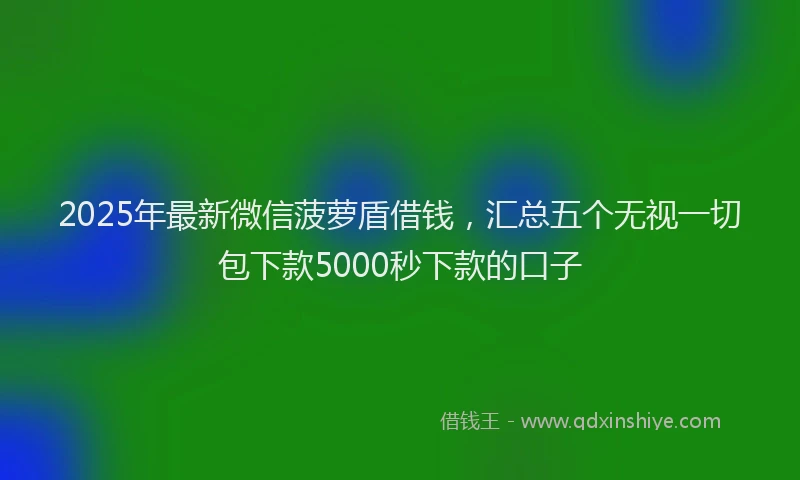 2025年最新微信菠萝盾借钱，汇总五个无视一切包下款5000秒下款的口子