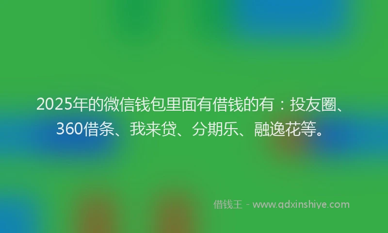 2025年的微信钱包里面有借钱的有：投友圈、360借条、我来贷、分期乐、融逸花等。