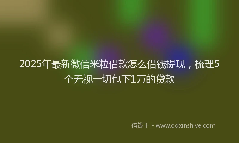 2025年最新微信米粒借款怎么借钱提现，梳理5个无视一切包下1万的贷款