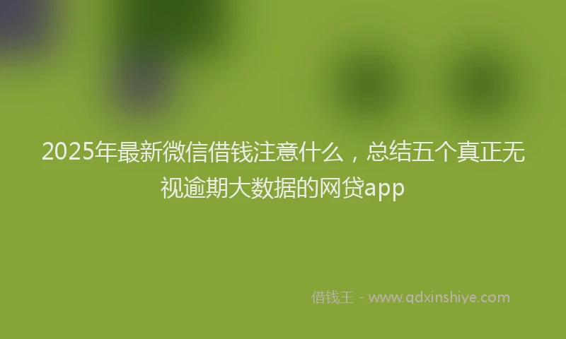 2025年最新微信借钱注意什么，总结五个真正无视逾期大数据的网贷app