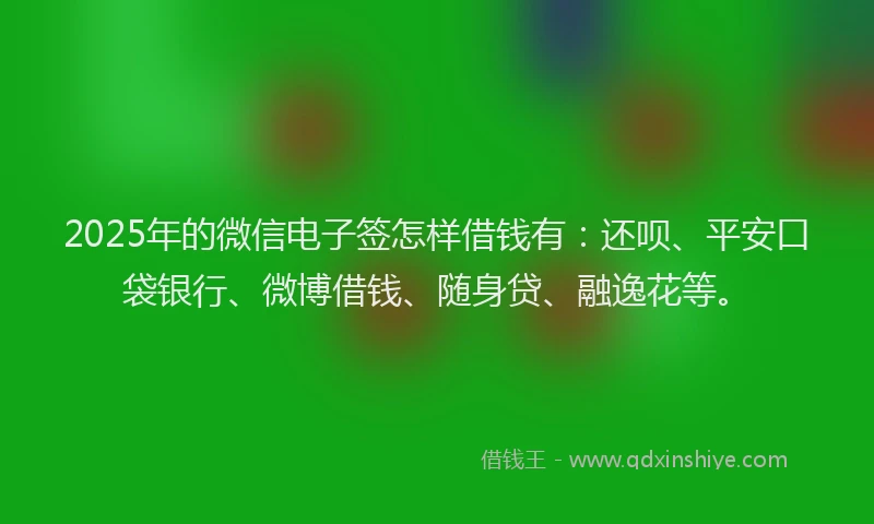 2025年的微信电子签怎样借钱有：还呗、平安口袋银行、微博借钱、随身贷、融逸花等。