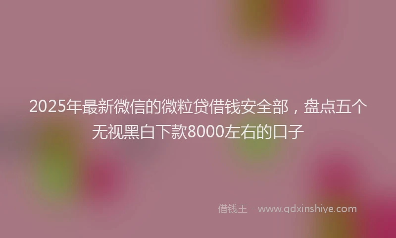 2025年最新微信的微粒贷借钱安全部，盘点五个无视黑白下款8000左右的口子